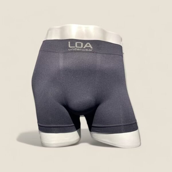 Cuecas Plus Size LOA Sem Costura Original em Microfibra