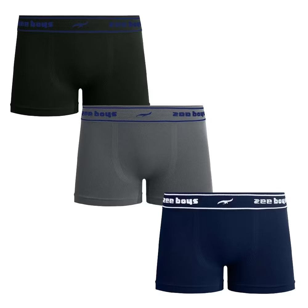 Kit 3 Cuecas INFANTIL Sem Costura ZEE RUCCI em Poliamida