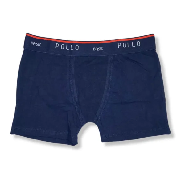 Kit 6 Cueca Boxer PLUS SIZE POLLO Em Microfibra
